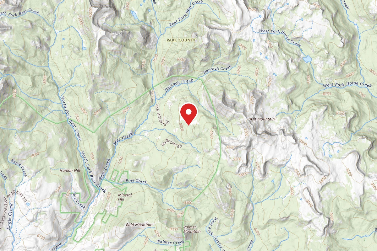 Custer Gallatin Dispersed Campsite ASH MTN ROAD-014
