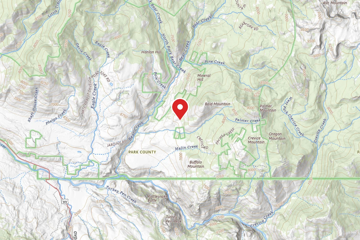 Custer Gallatin Dispersed Campsite PALMER MTN ROAD-001