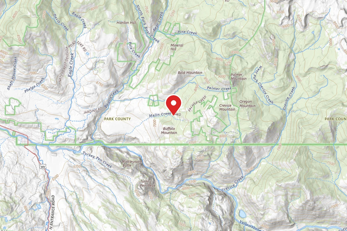 Custer Gallatin Dispersed Campsite PALMER MTN ROAD-005