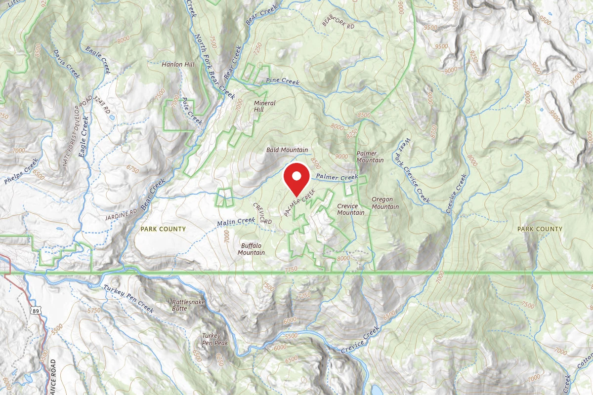 Custer Gallatin Dispersed Campsite PALMER MTN ROAD-010