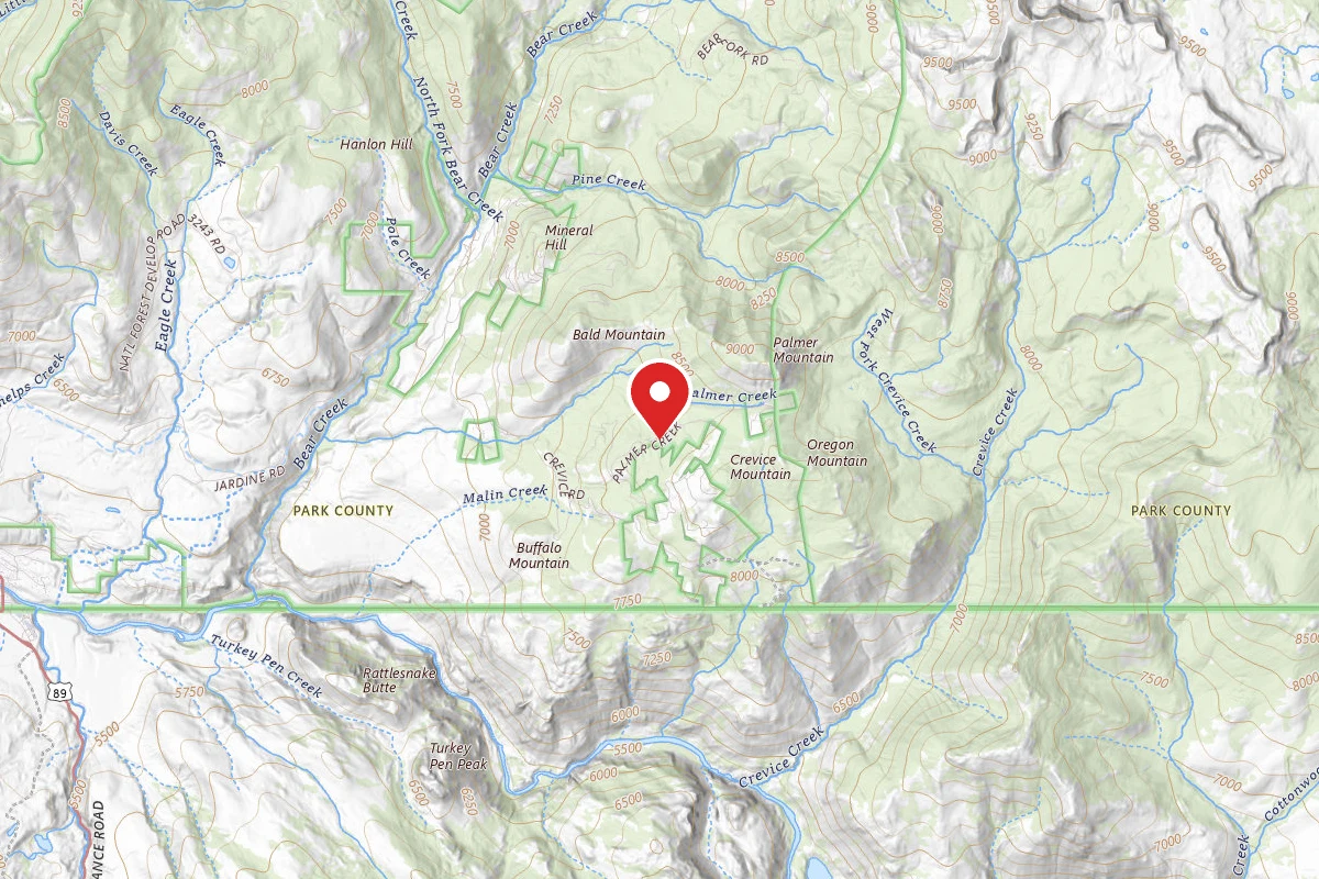 Custer Gallatin Dispersed Campsite PALMER MTN ROAD-012
