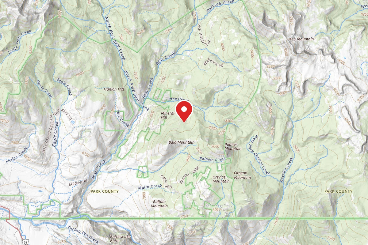 Custer Gallatin Dispersed Campsite BALD MTN ROAD-002