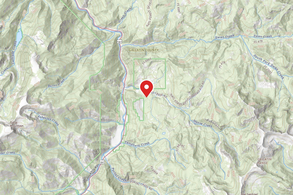 Custer Gallatin Dispersed Campsite FR479C-02