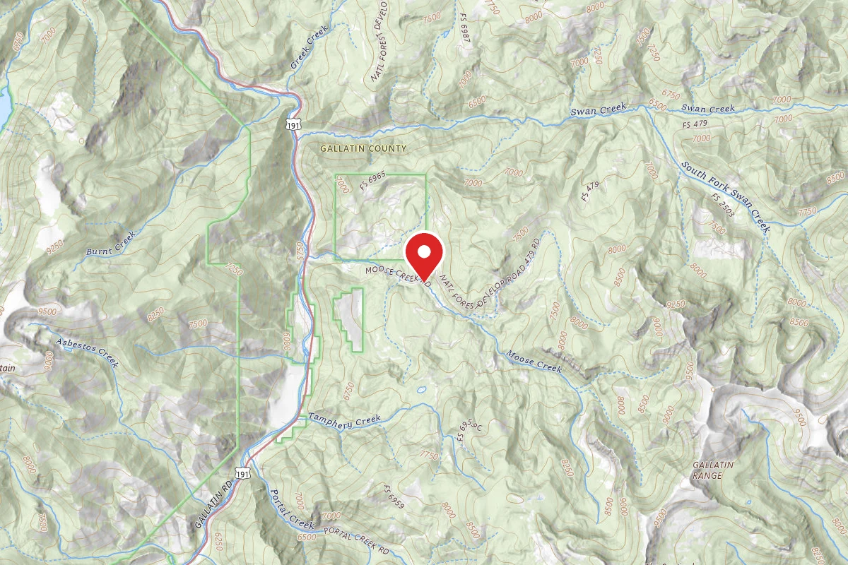 Custer Gallatin Dispersed Campsite FR479-12
