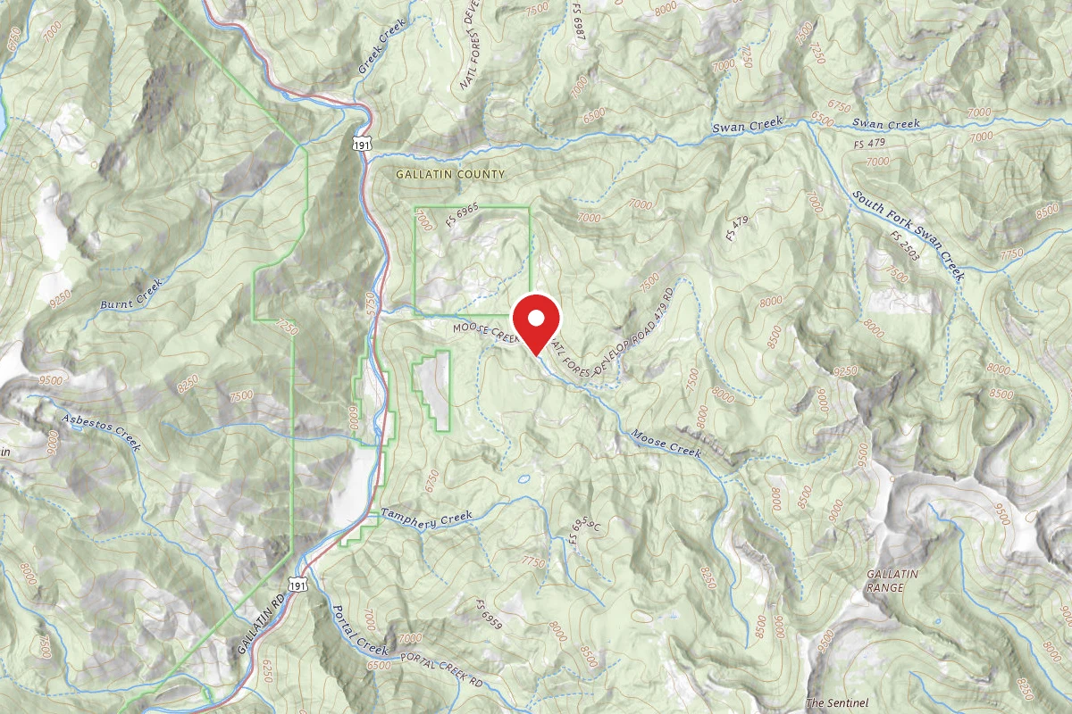 Custer Gallatin Dispersed Campsite FR479-13