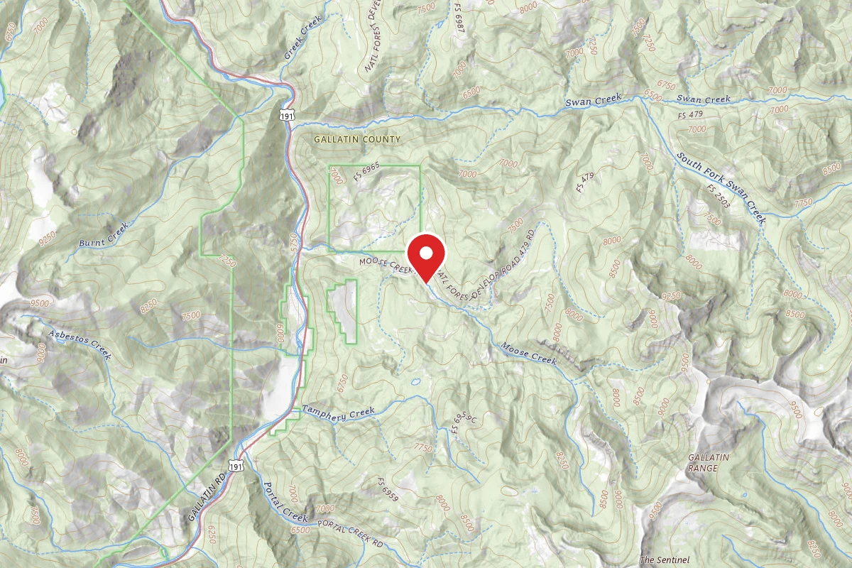 Custer Gallatin Dispersed Campsite FR479-14