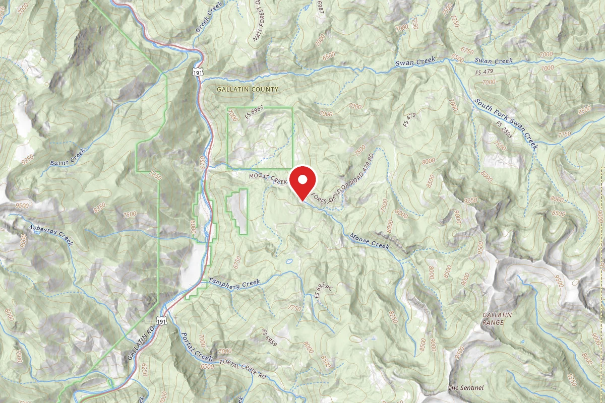 Custer Gallatin Dispersed Campsite FR479-15