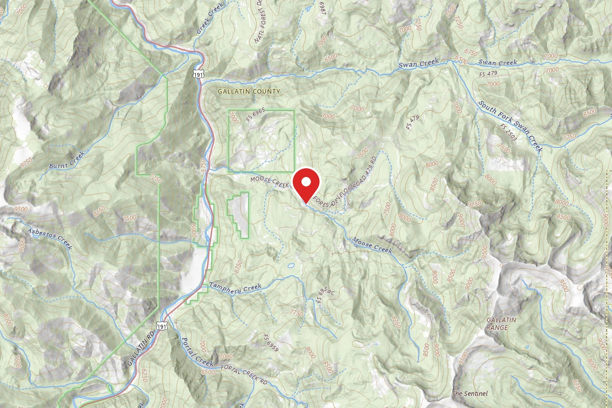 Custer Gallatin Dispersed Campsite FR479-19