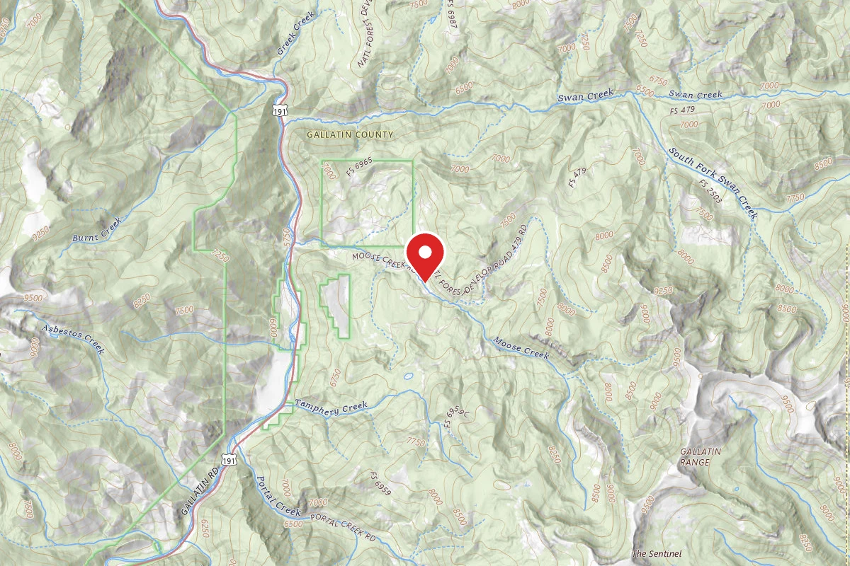 Custer Gallatin Dispersed Campsite FR479-20