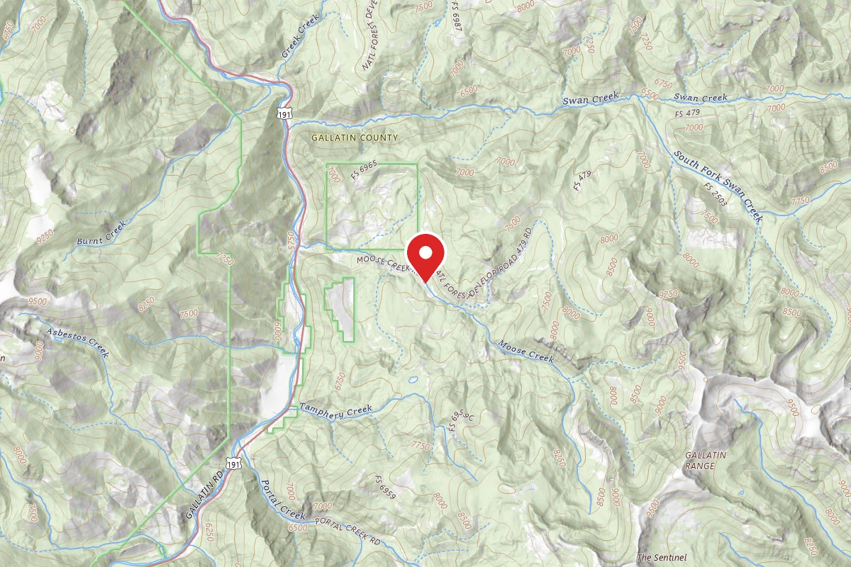 Custer Gallatin Dispersed Campsite FR479-21