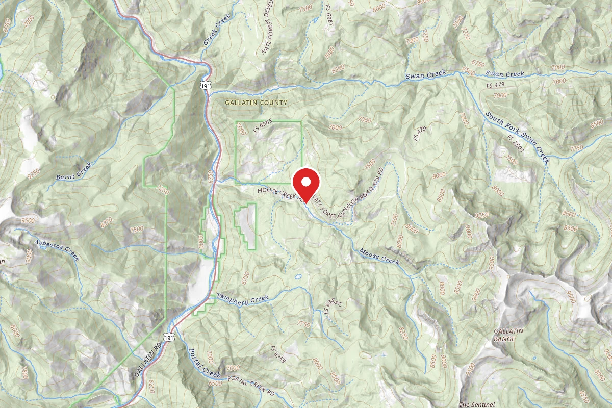 Custer Gallatin Dispersed Campsite FR479-22