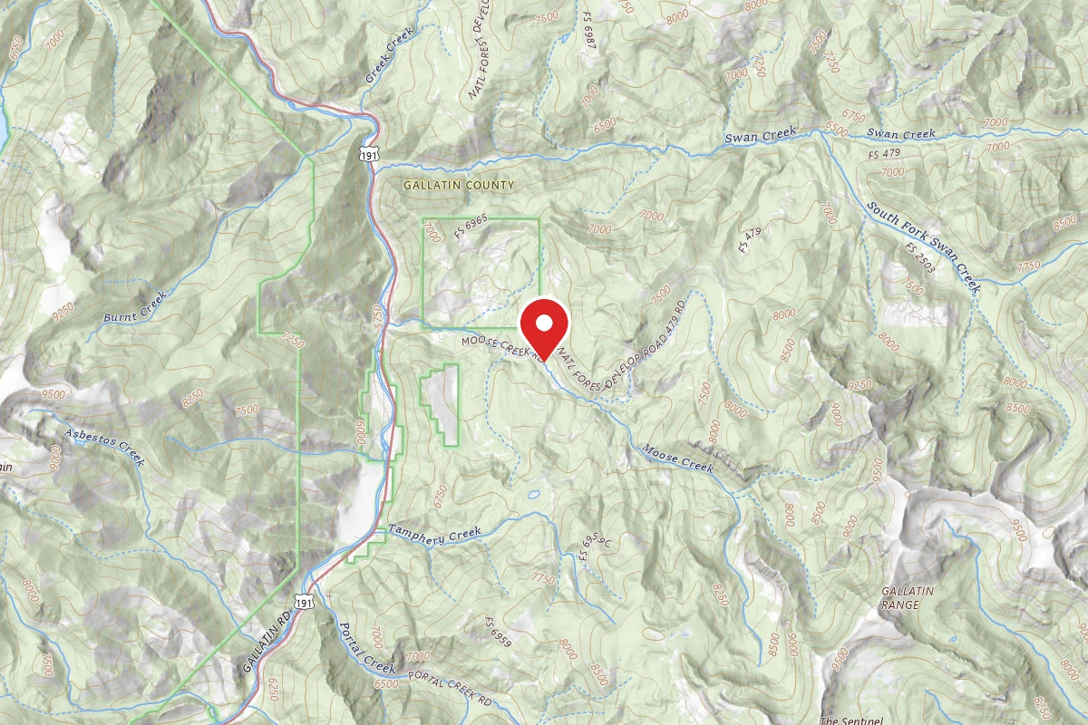 Custer Gallatin Dispersed Campsite FR479-23
