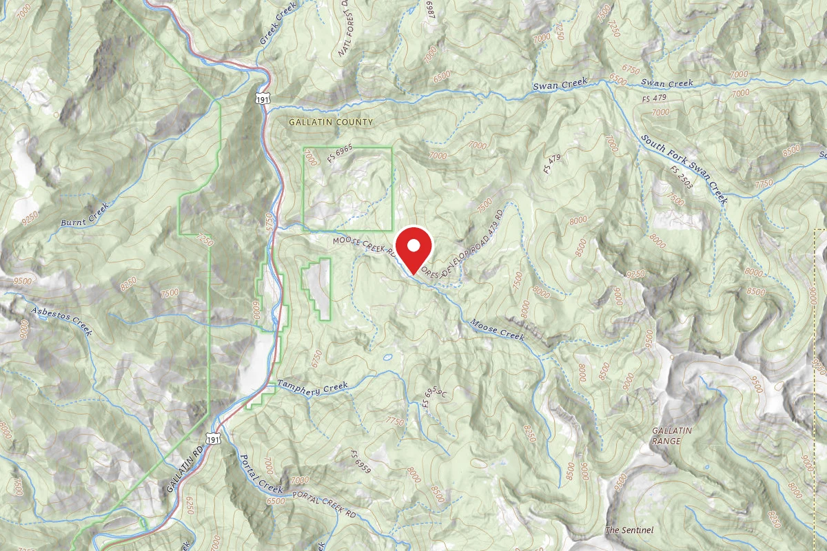 Custer Gallatin Dispersed Campsite FR479-24