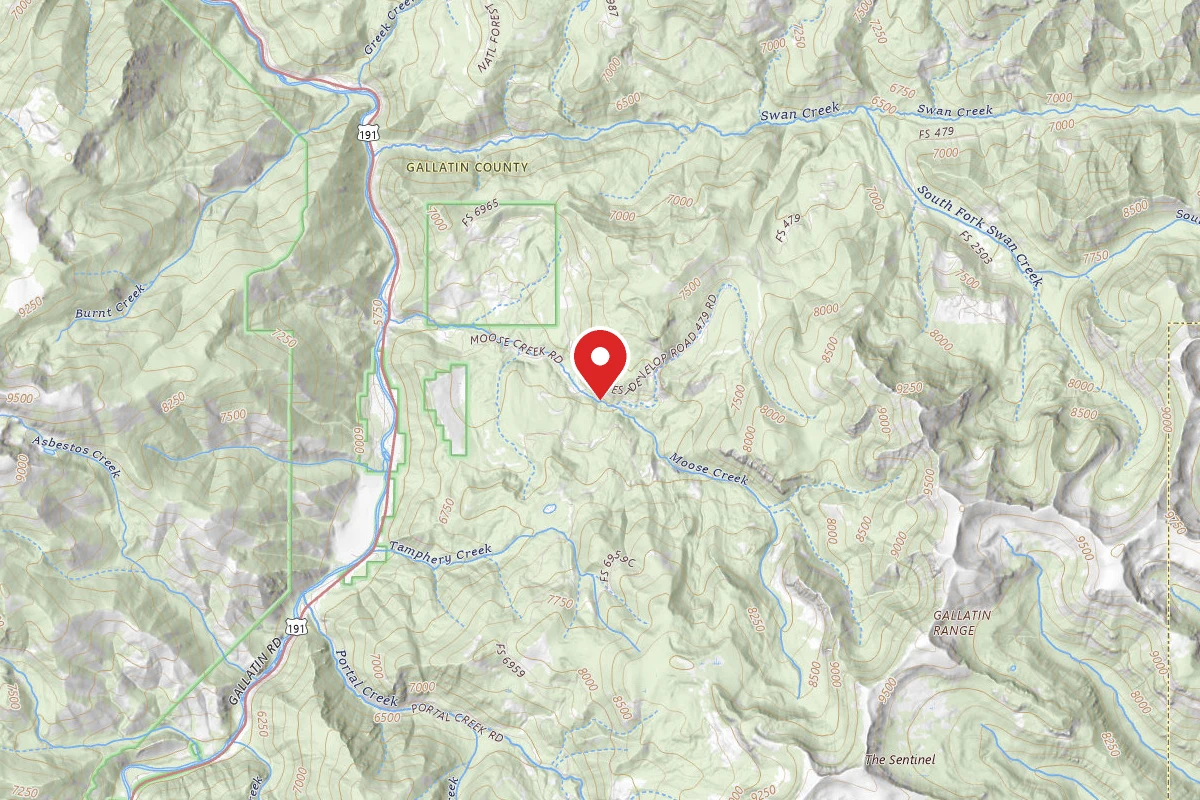 Custer Gallatin Dispersed Campsite FR479-25