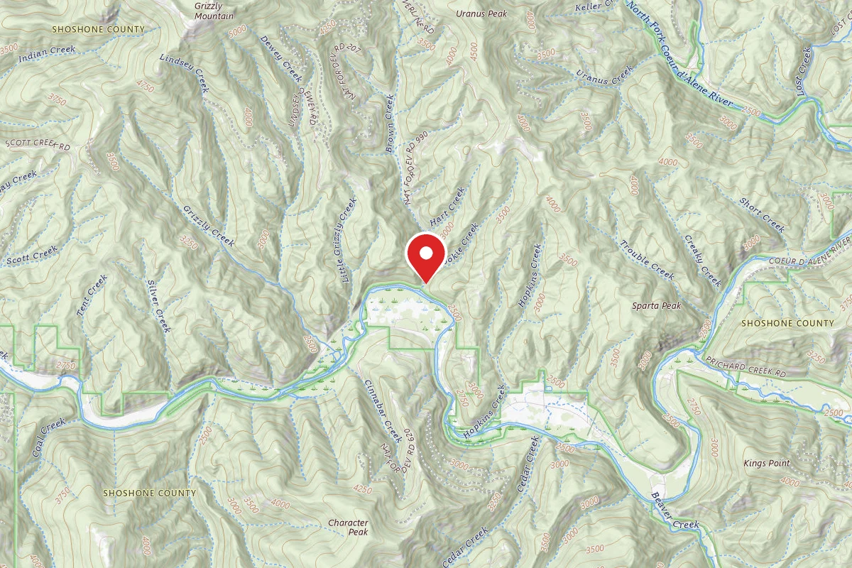 Idaho Panhandle Dispersed Campsite RD 207 MM.0A