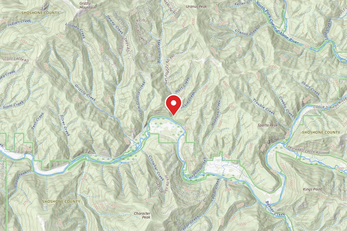 Idaho Panhandle Dispersed Campsite FD 207 MM .0B