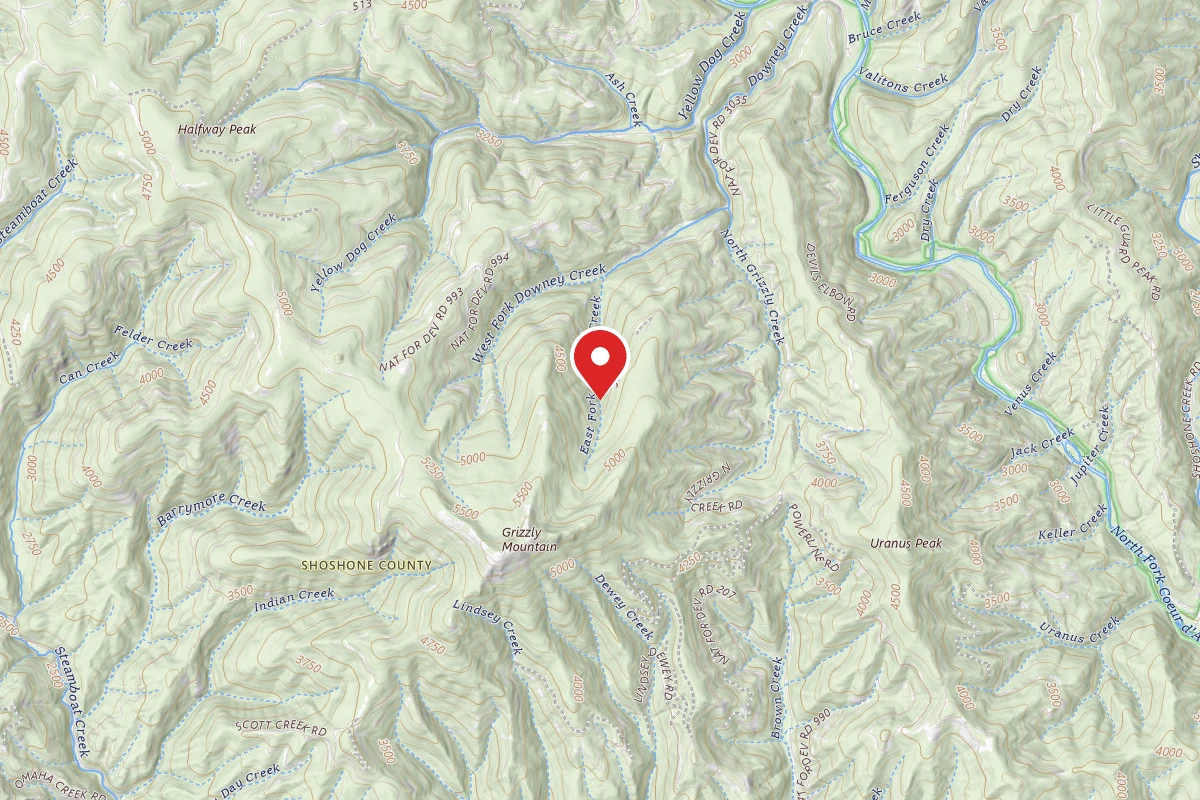 Idaho Panhandle Dispersed Campsite RD 994 MM 4.4