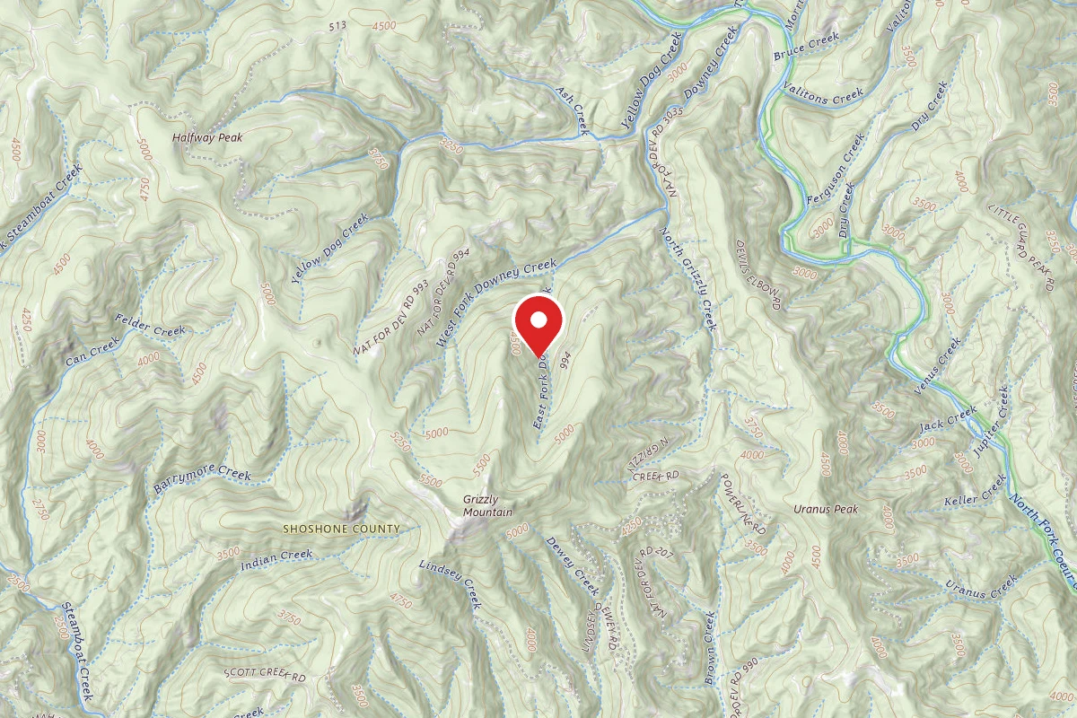 Idaho Panhandle Dispersed Campsite RD 994 MM 4.5