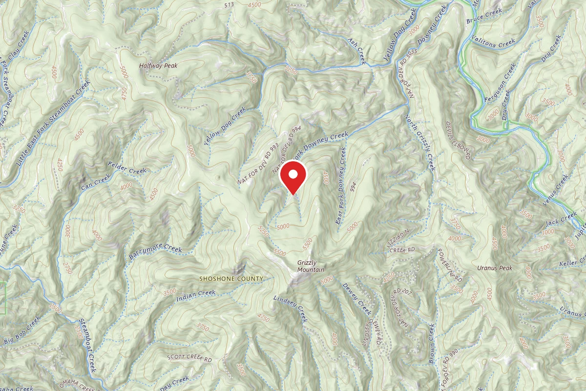 Idaho Panhandle Dispersed Campsite RD 994 MM 6.1