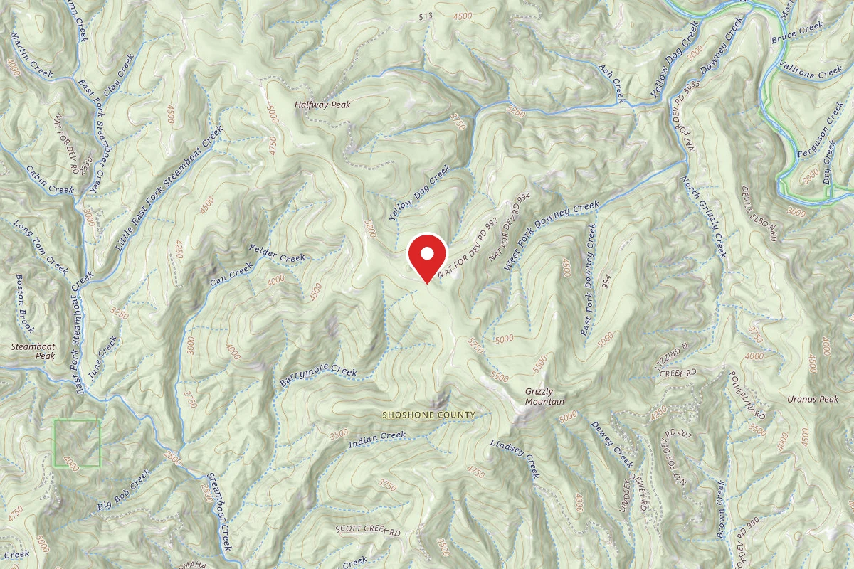 Idaho Panhandle Dispersed Campsite RD 260 MM .8