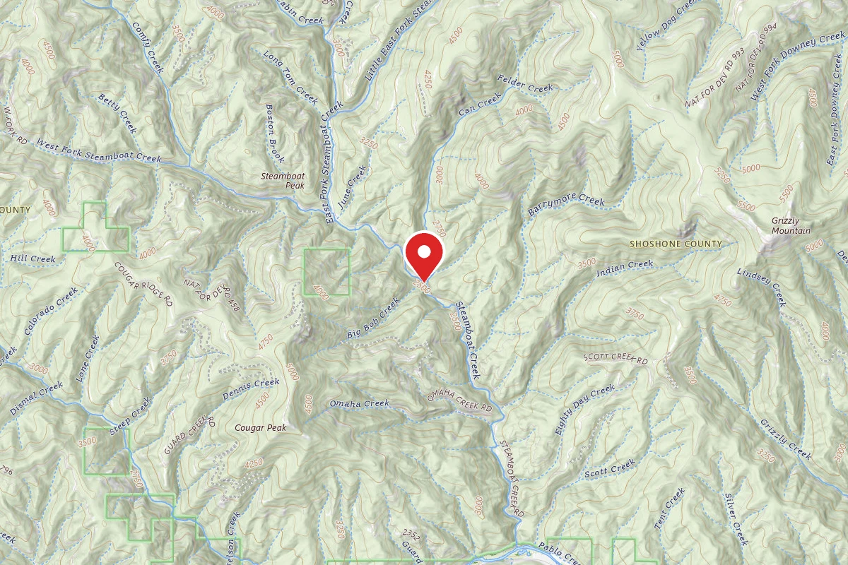 Idaho Panhandle Dispersed Campsite RD 400 MM 3.7