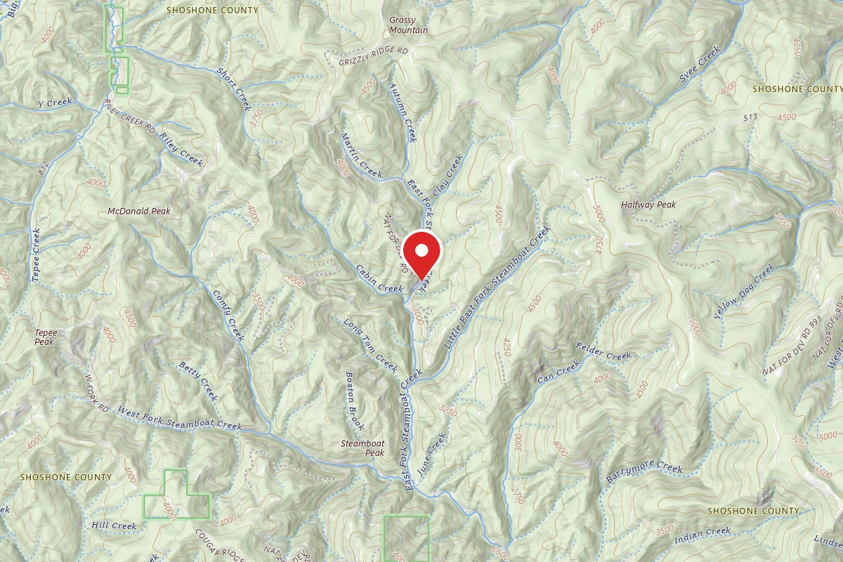 Idaho Panhandle Dispersed Campsite RD 2329 MM .2