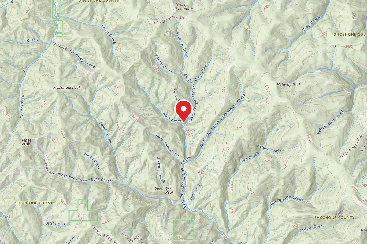 Idaho Panhandle Dispersed Campsite RD 2329 MM .4