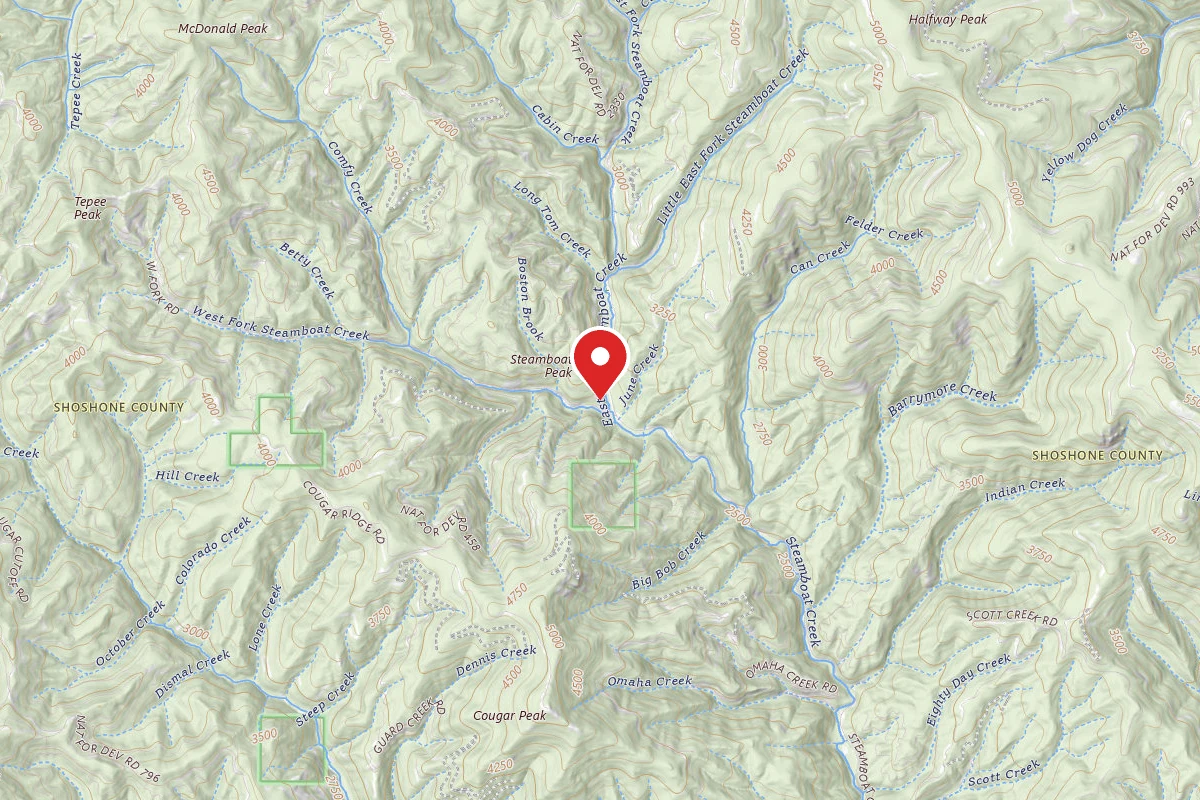 Idaho Panhandle Dispersed Campsite RD 900 MM 7.3