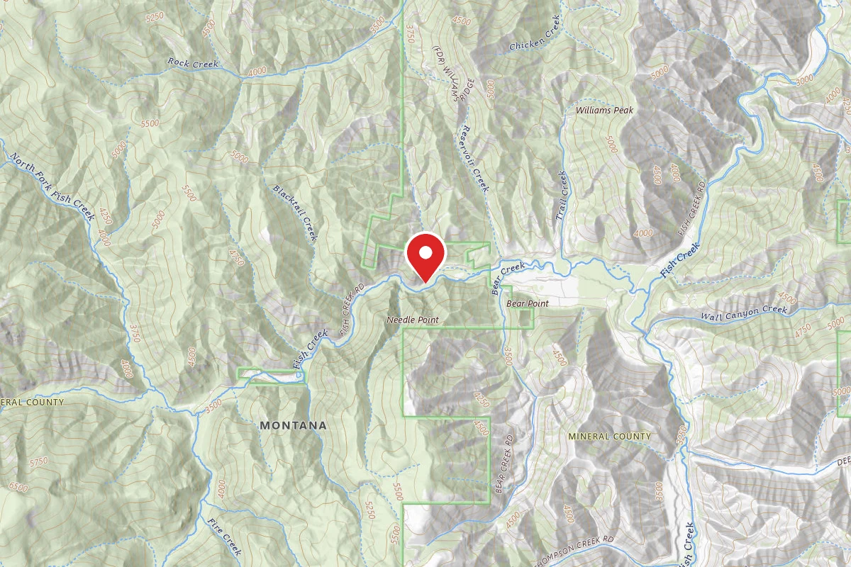 West Fork Fish A