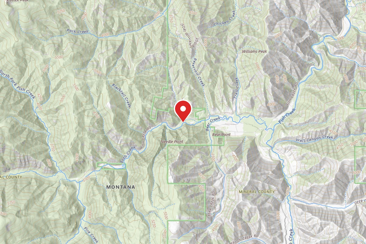 West Fork Fish B