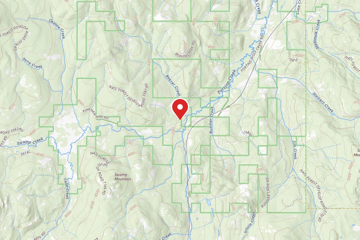 Kootenai Dispersed Campsite RD 48-01 - ERRONEOUS