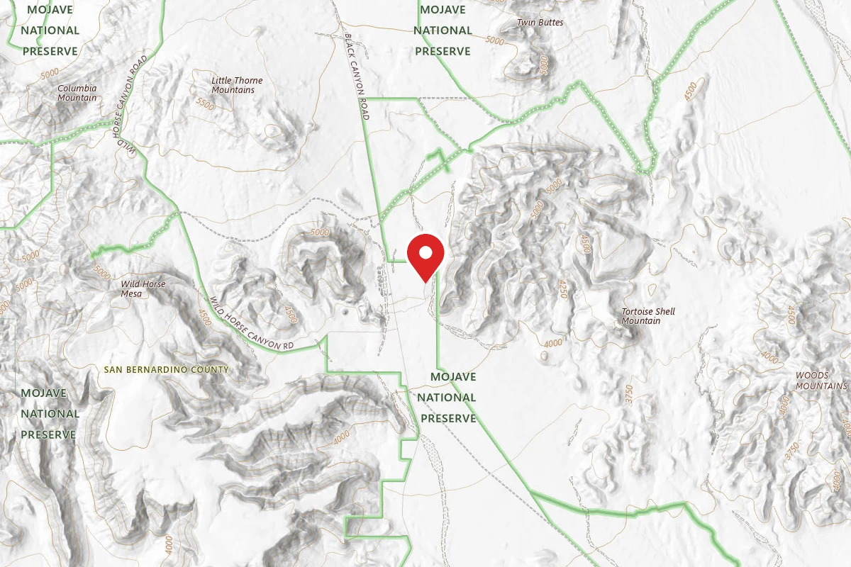 Mojave National Preserve Black Canyon Equestrian and Group Campground