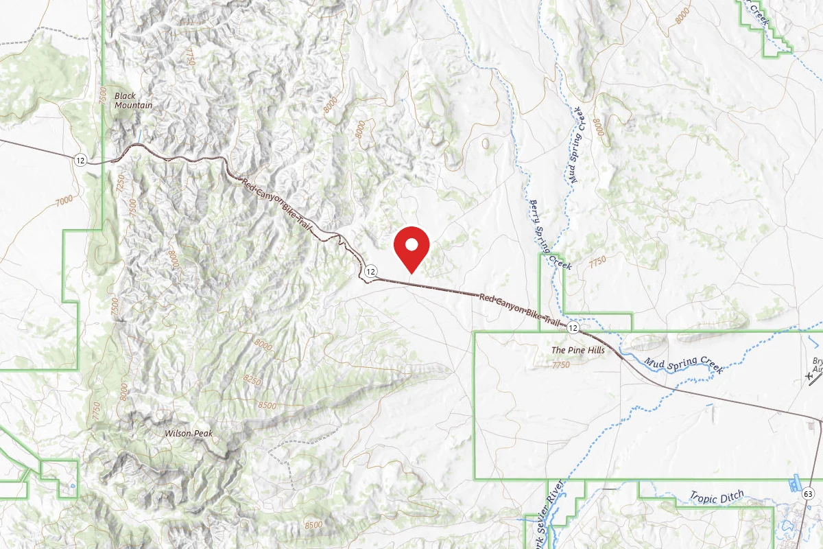 FS #117 Rd Dispersed Camping