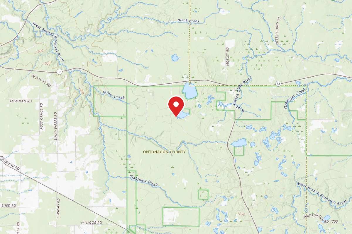 Courtney Lake Campground