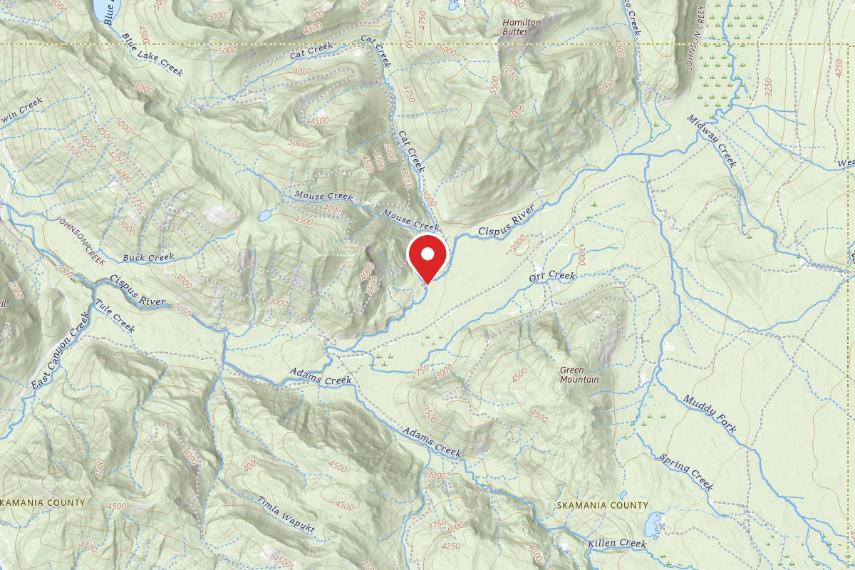Gifford Pinchot National Forest Cat Creek Campground