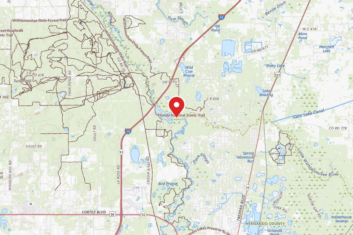 River Junction Campground - Withlacoochee State Forest