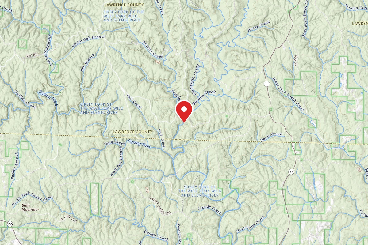 Sipsey Wilderness Backcountry Site (Trail 200 Site A)