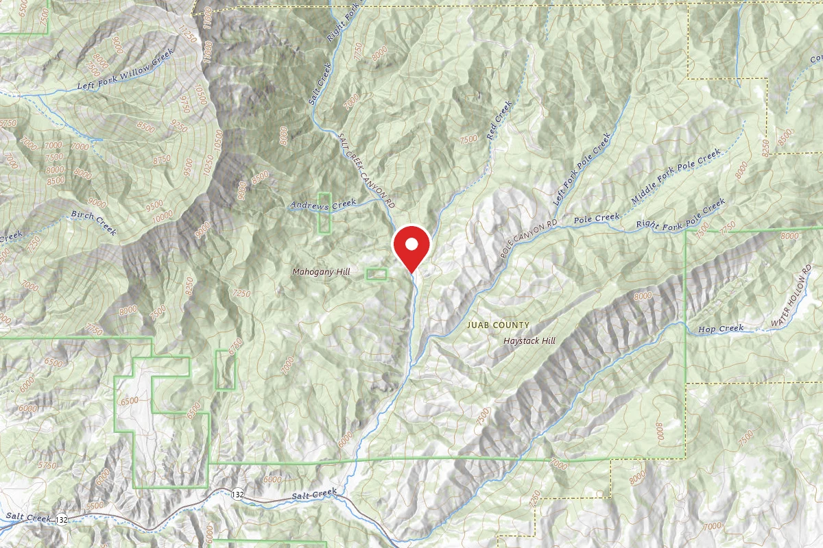 Mt. Nebo Creek Loop
