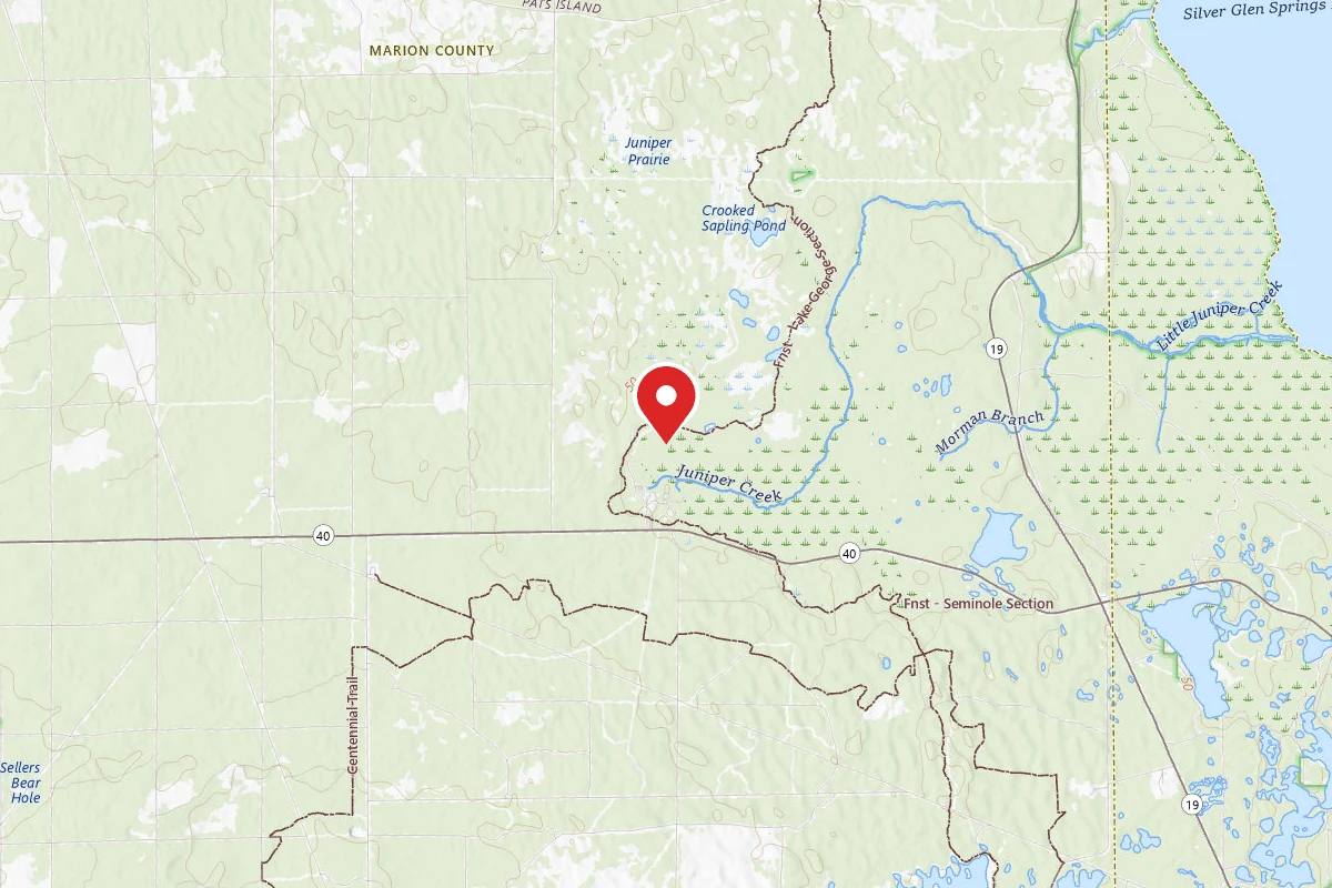Ocala NF Dispersed - Juniper Prairie