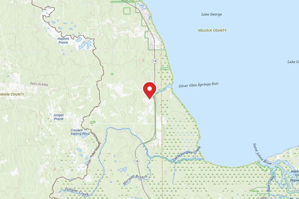 Ocala NF - Little Lake Bryant Dispersed