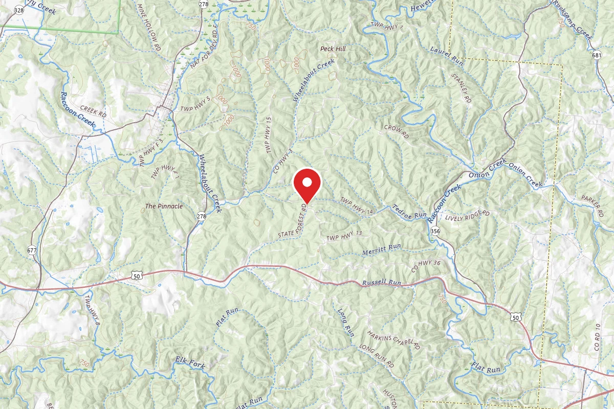 Zaleski State Forest