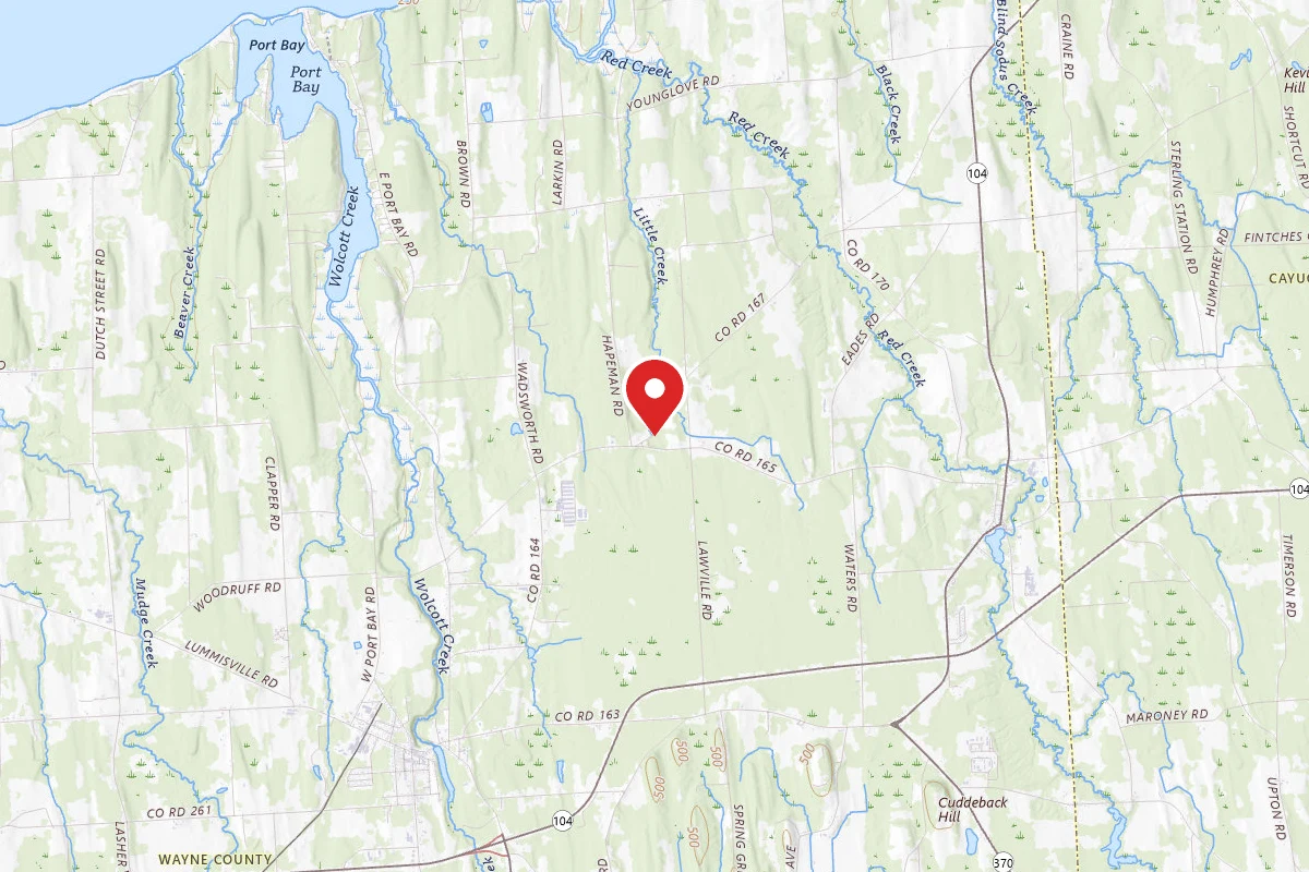 Little Creek Camp