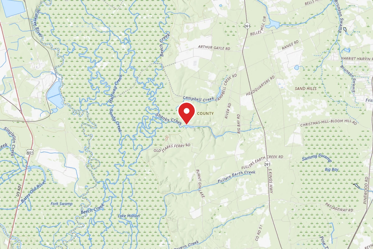 Poinsett State Park