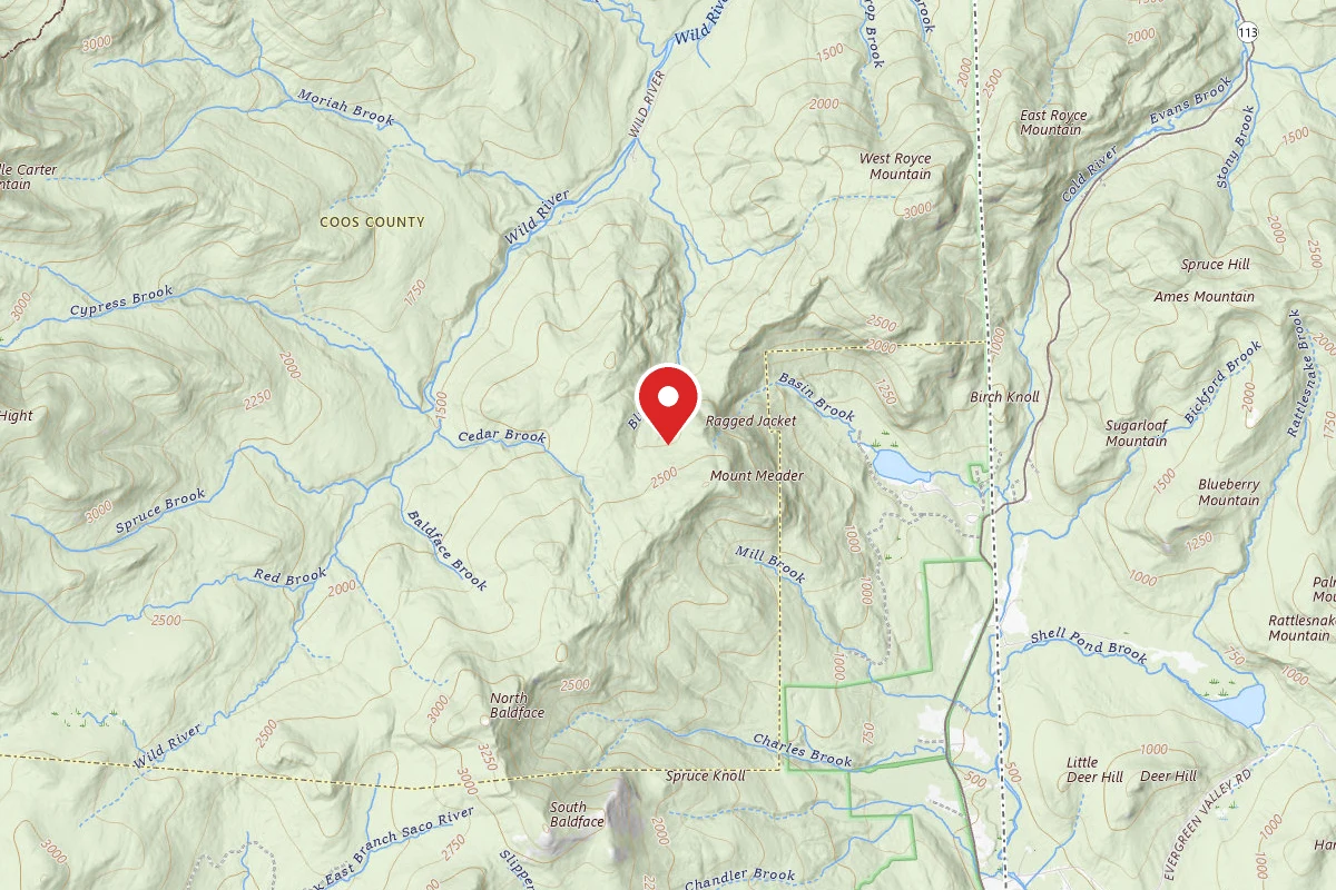 Blue Brook Tent Site