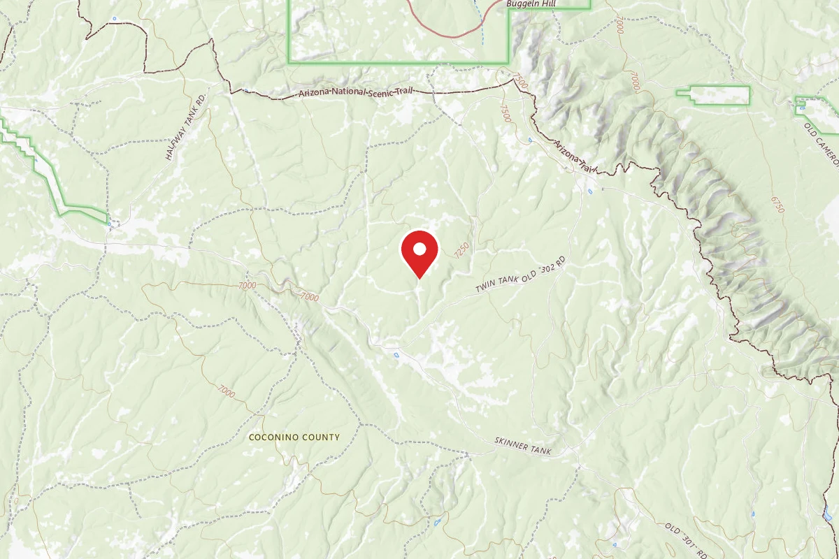Coconino Rim Dispersed