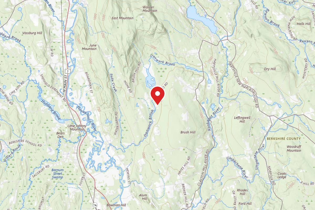 Beartown State Forest