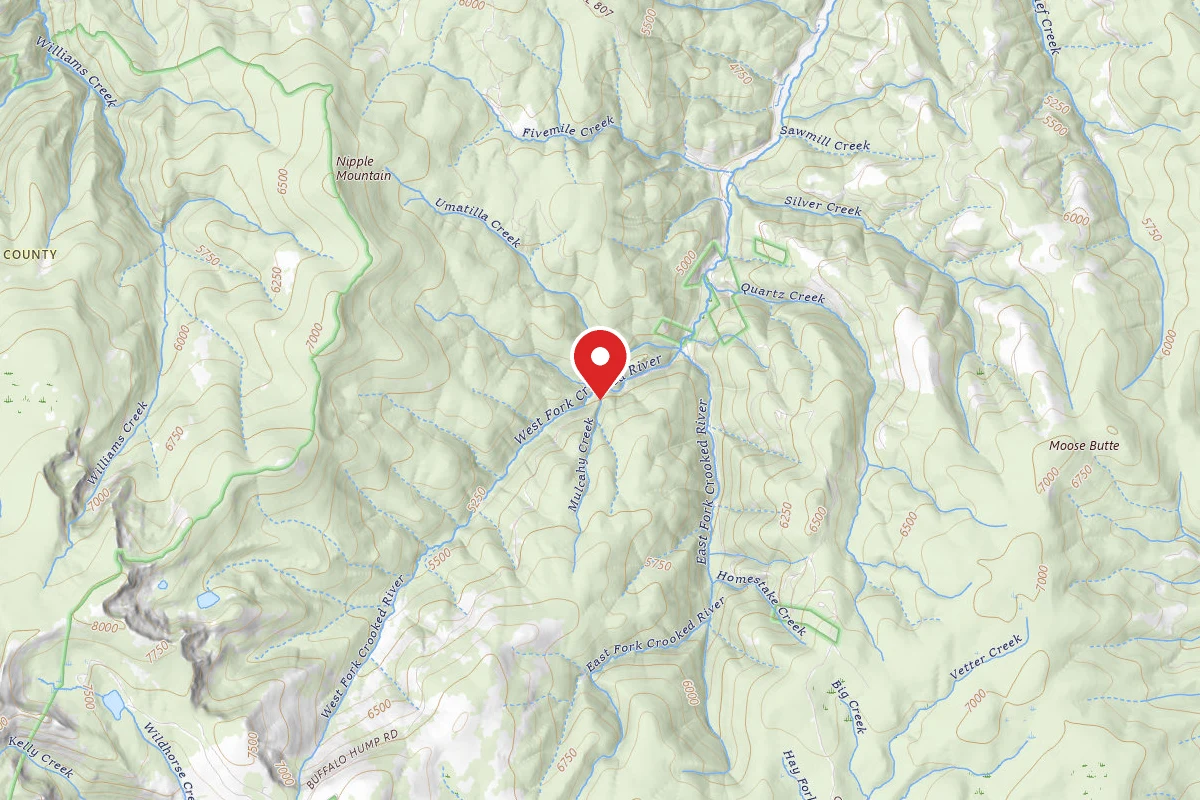 Nez Perce National Forest Orogrande Campground #3 and #4