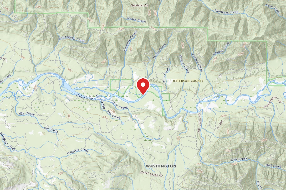Hoh River Dispersed Camping
