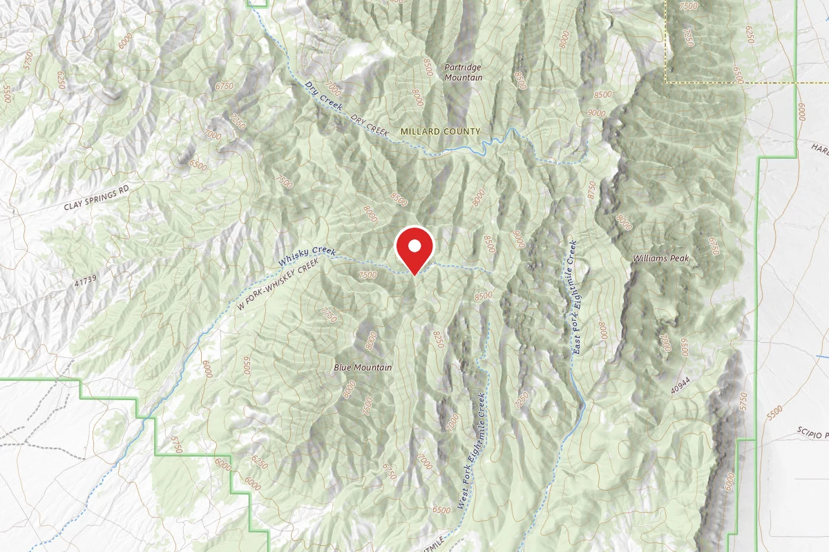 West Fork - Whiskey Creek Dispersed Camping