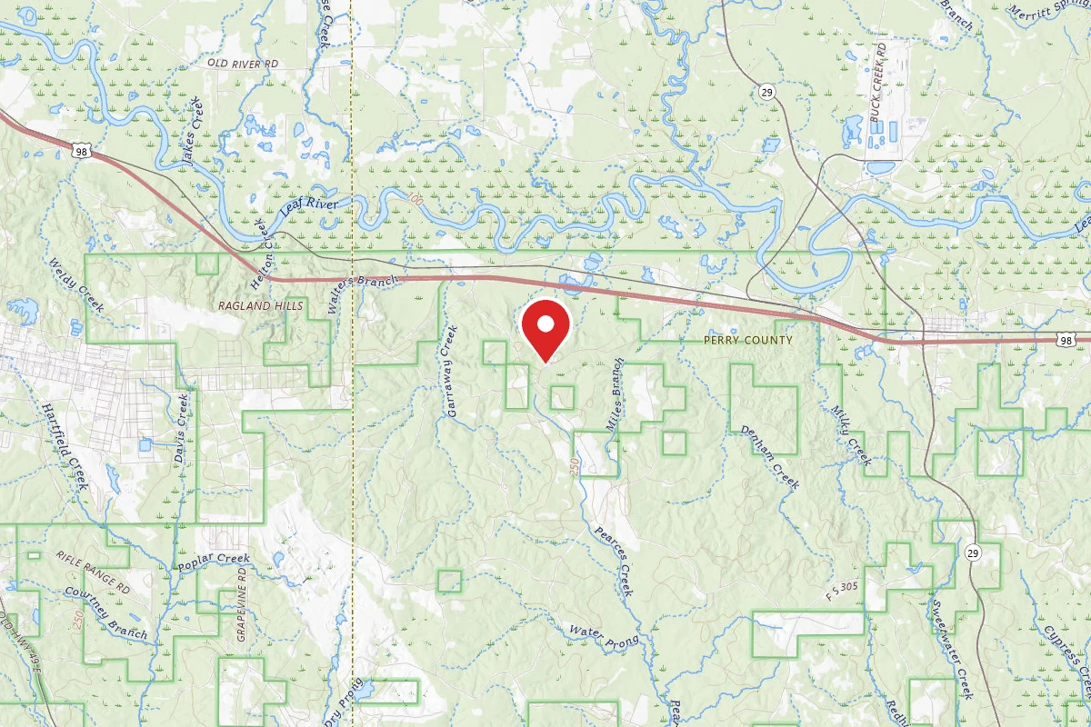Camp Shelby Dispersed Camping